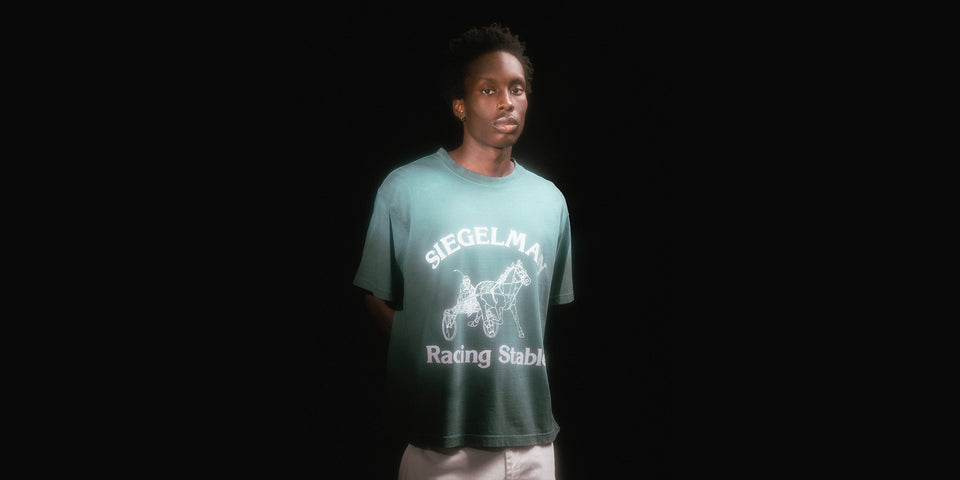 Introducing: CNCPTS for Siegelman Stable