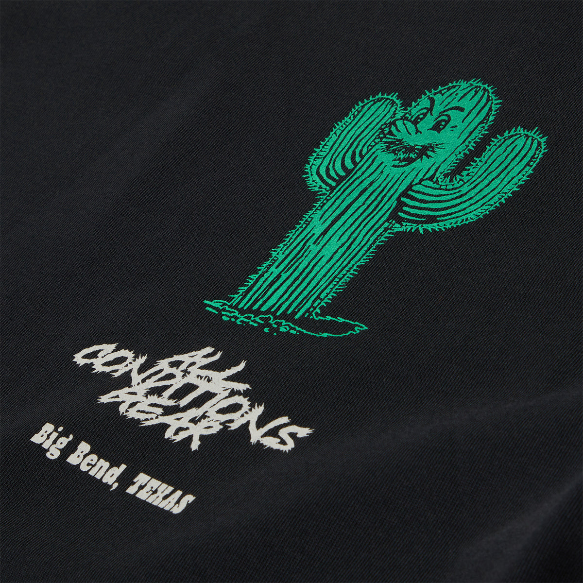 Nike ACG Dri-FIT T-Shirt (Black)