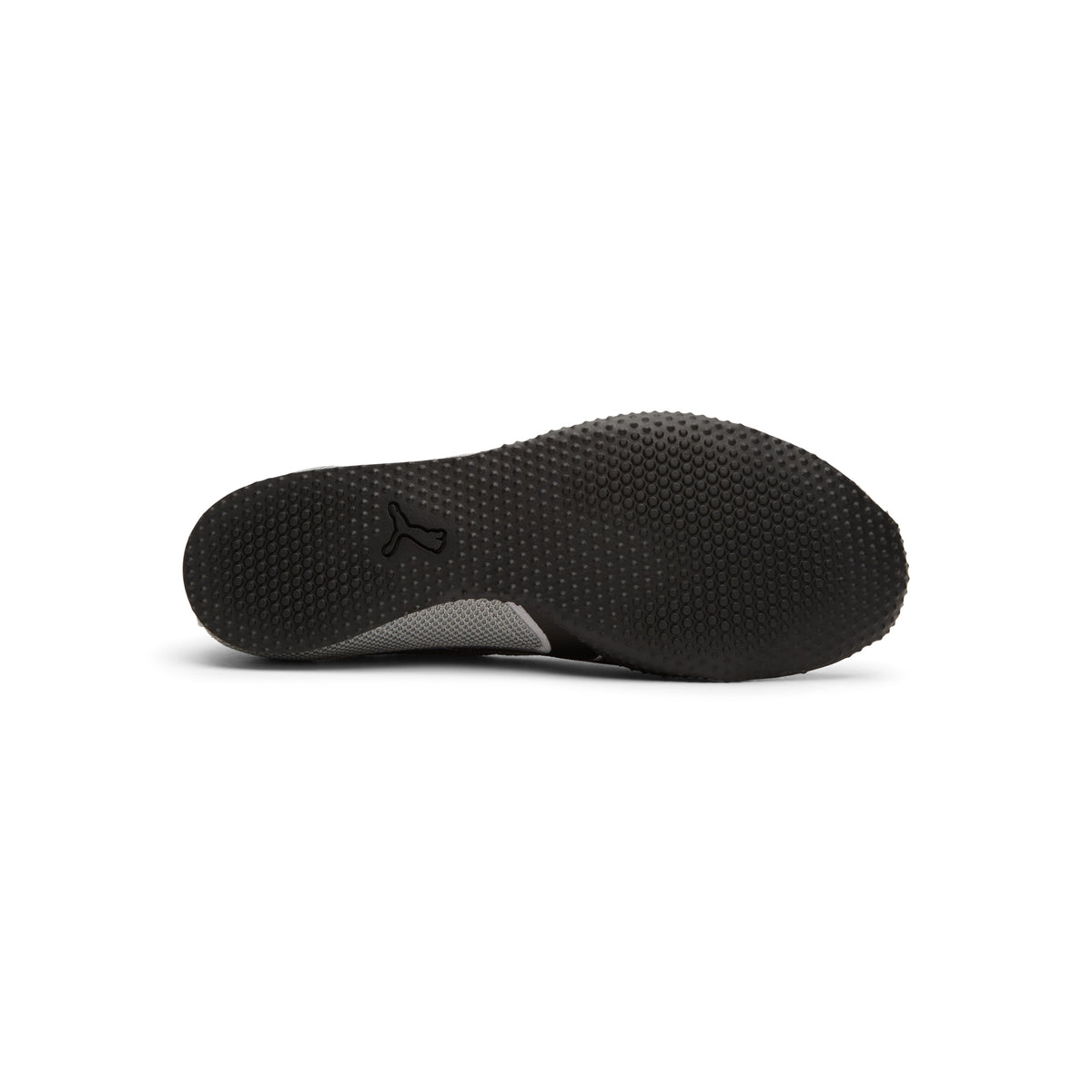 Puma H-Street Chrome (Gray)