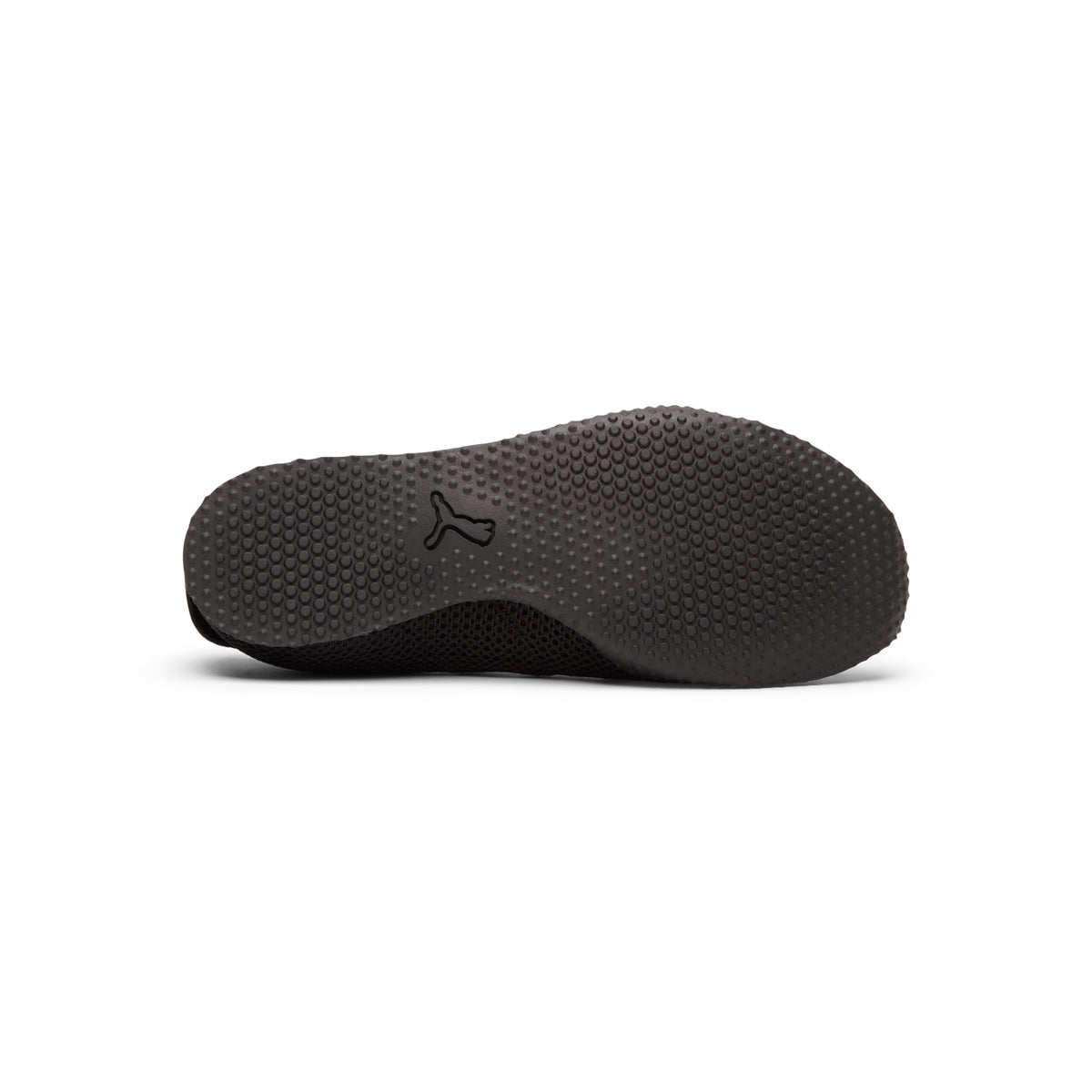 Puma H-Street Ballet WNS (Black)