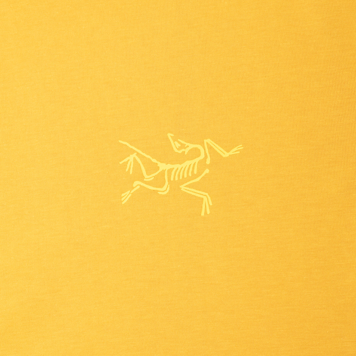 Arc'teryx Kragg SL Cotton LS M (Larch)