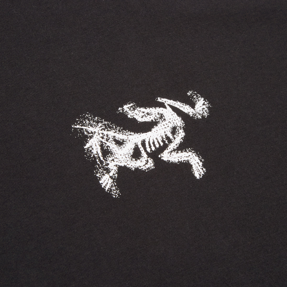 Arc'teryx Kragg SL Cotton Bird Tile LS M (Black / Arctic Silk)