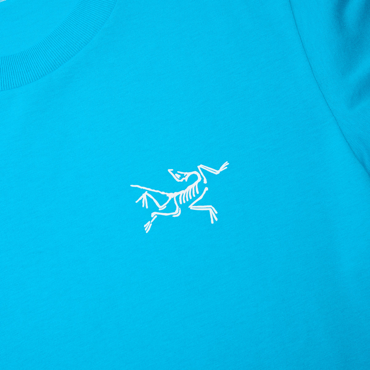 Arc'teryx Kragg Cotton LS M (Aquaculture)