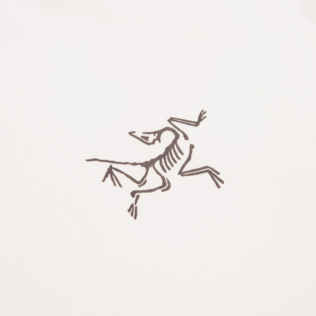 Arc'teryx Kragg Cotton LS M (White Light / Black)