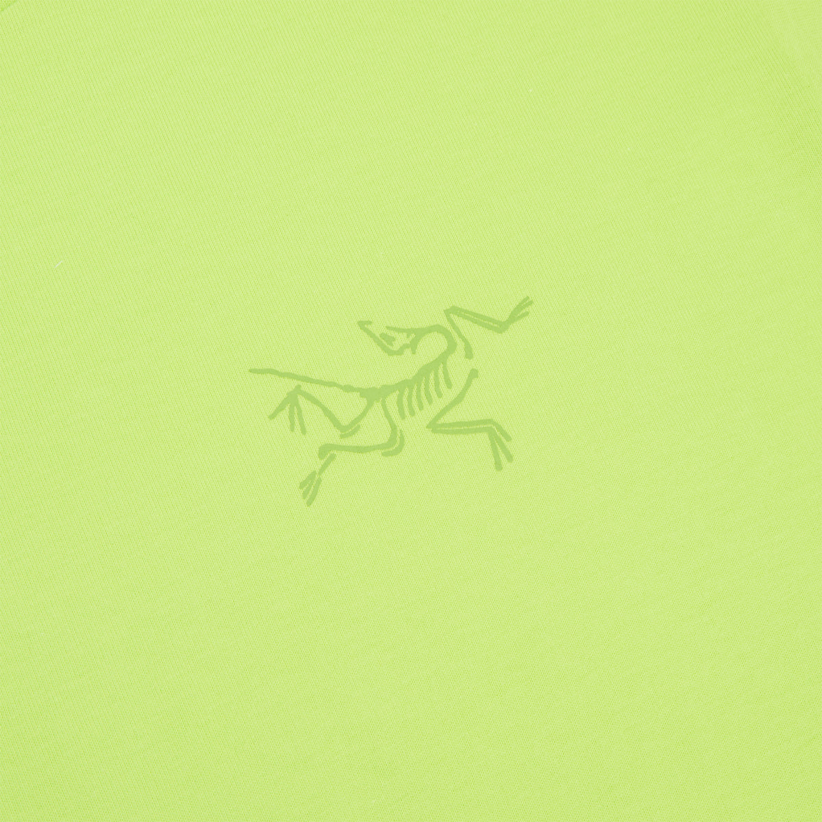 Arc'teryx Kragg Cotton LS M (Mantis)