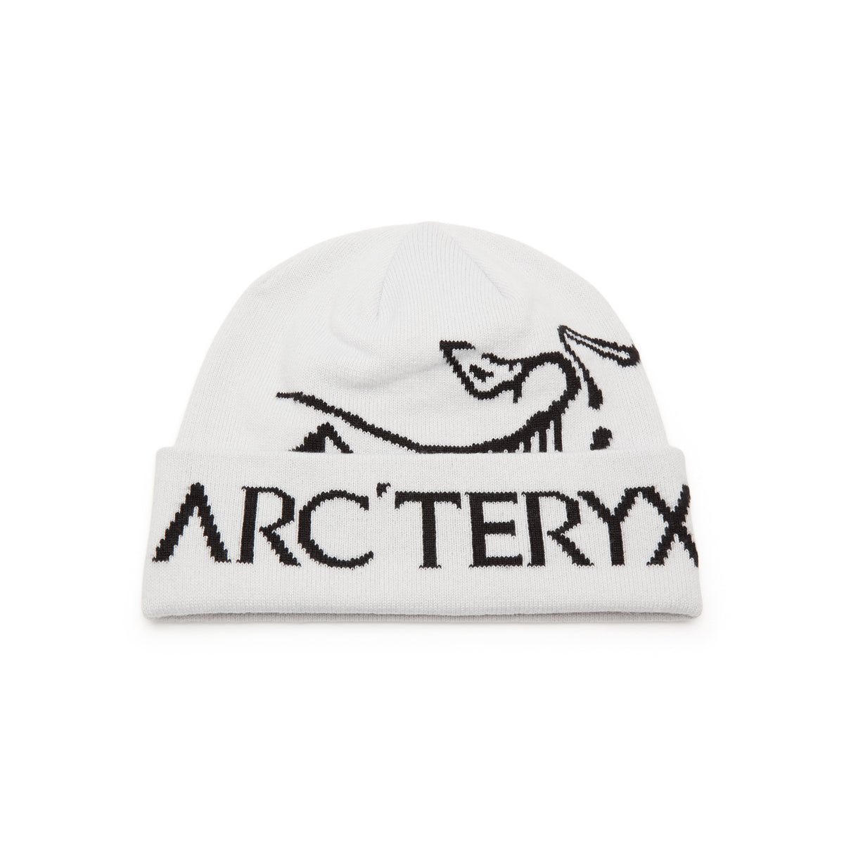 Arc'teryx Bird Word Toque (Orca)